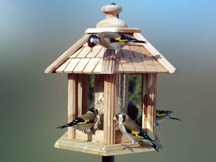 Mangeoire Gazebo Triple Cedre pour oiseaux du jardin TRUFFAUT JARDIN  DURABLE BIODIV
